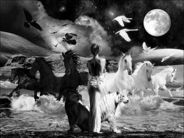 Blank and Jones ft. Delerium - Do you remember me?I'm just a shadow now