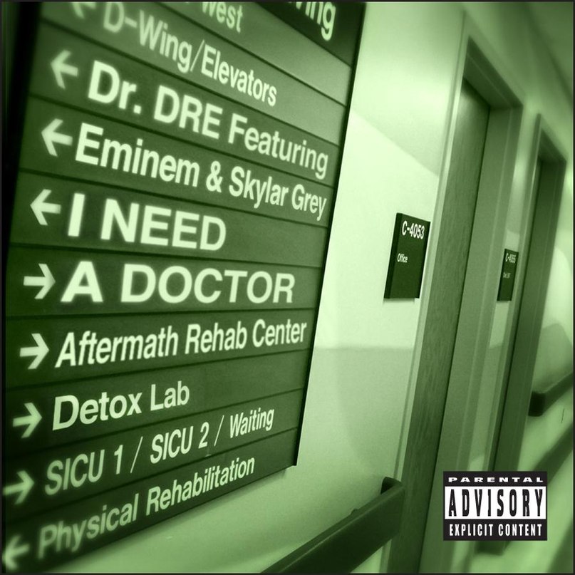 Dr. Dre & Eminem feat  Skylar Grey - I Need A Doctor (dub step rmx)