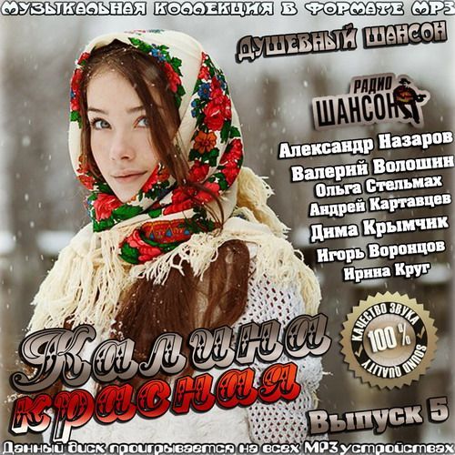 Шансон - Новогодняя (В.Токарев, А.Полотно, Ф.Карманов, А.Дюмин, Т.Тишинская, М.Шелег, Е.Чужой))